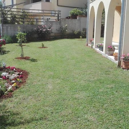 Apartment Barba Лижнян Екстер'єр фото