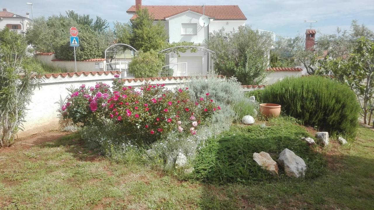Apartment Barba Лижнян Екстер'єр фото